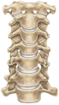 頸椎